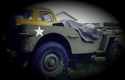 Willys