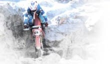 King of the Motos