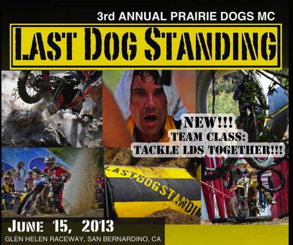 Last Dog Standing
