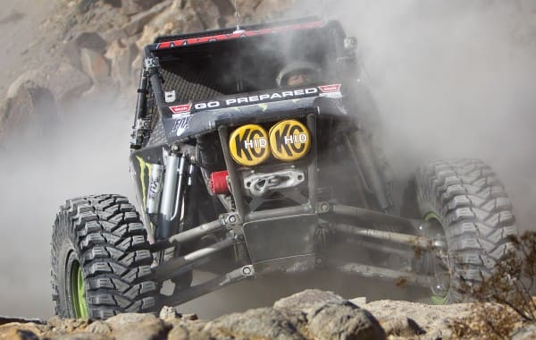 WARN - KOH - Shannon Campbell