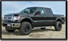 ICON Ford F-150