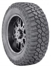 Mickey Thompson's Deegan 38 Tire