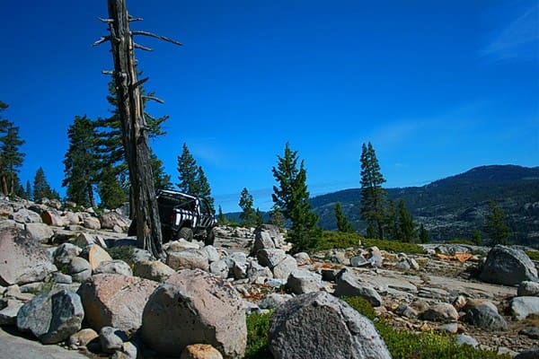 Rubicon 9