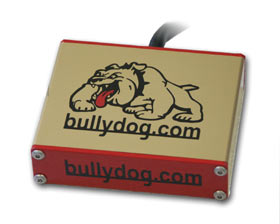 Bully Dog Snooper Dog