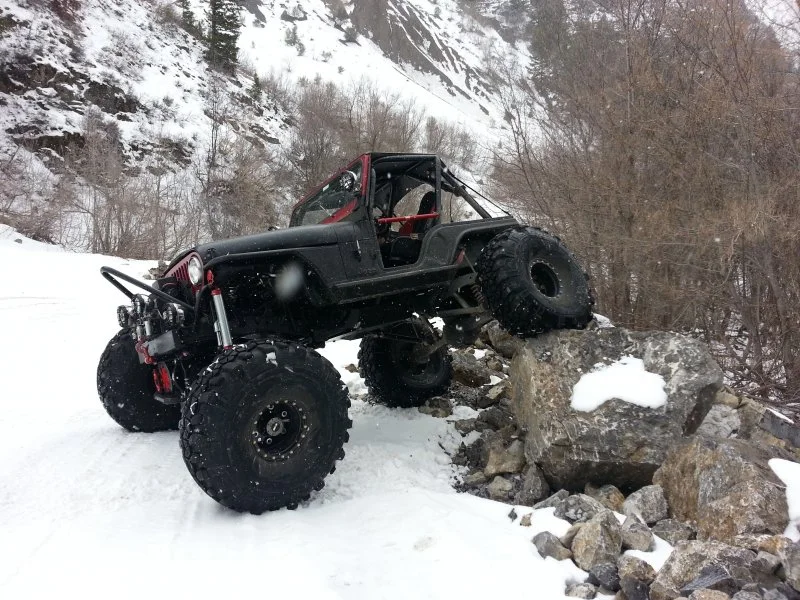 2.5 ton buggy