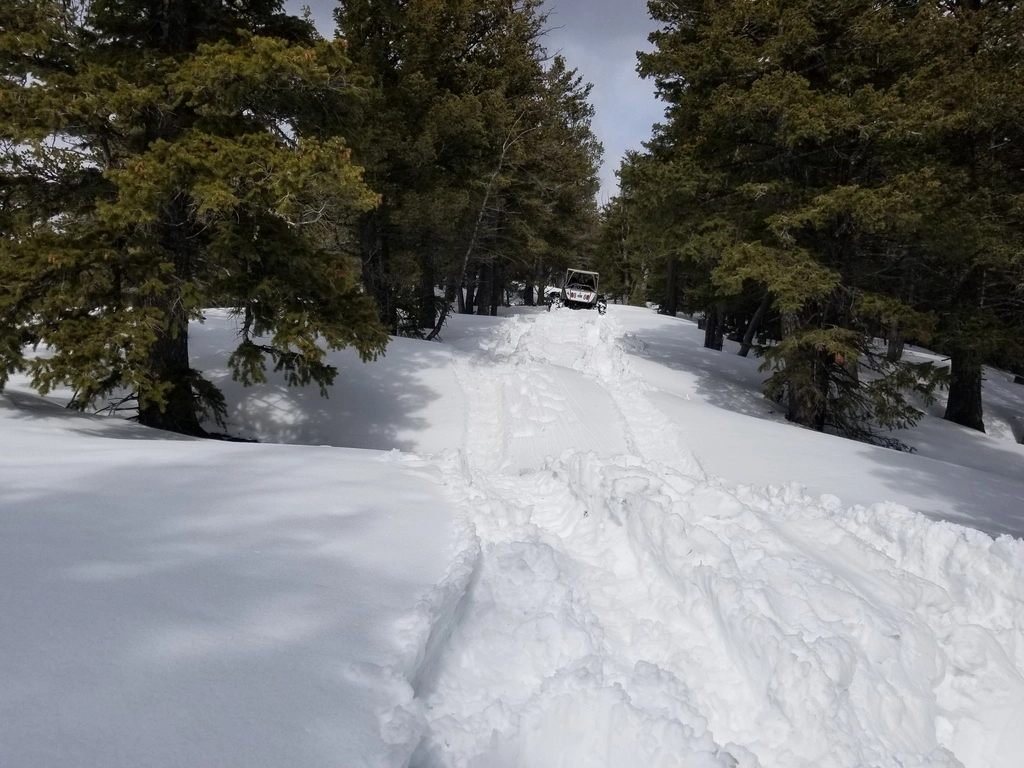 20180414_154328.webp