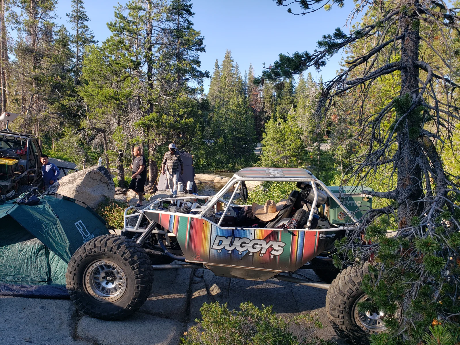 Texas usa Fabn801 Rock lizard 2019