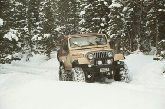 6222995_orig.jpg