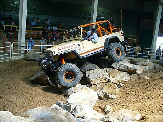 8029224_orig.webp