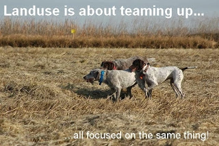 a2.bp.blogspot.com__fZXt0mKBpCw_UpJy3fmfWSI_AAAAAAAAEZg__CEkFtxzFQ4_s320_dogs_teamwork_text_web.webp