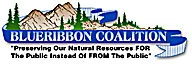 a2.bp.blogspot.com__xi23heswGVQ_Uazb1n9MmeI_AAAAAAAAEKg_E4_vGy_i2Ug_s1600_brc_classic_logo_web.webp