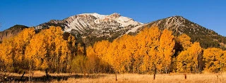 a3.bp.blogspot.com___5CfUkqH__Q_UFc4Tvk73sI_AAAAAAAAClw_l9fn82U6kOY_s320_mammoth.webp