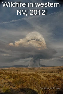 a3.bp.blogspot.com___ULVbMaSX14_Uq5R8oLGdrI_AAAAAAAAEco_fvyj1tVhbZ0_s320_fire_smoke_nv_text.webp