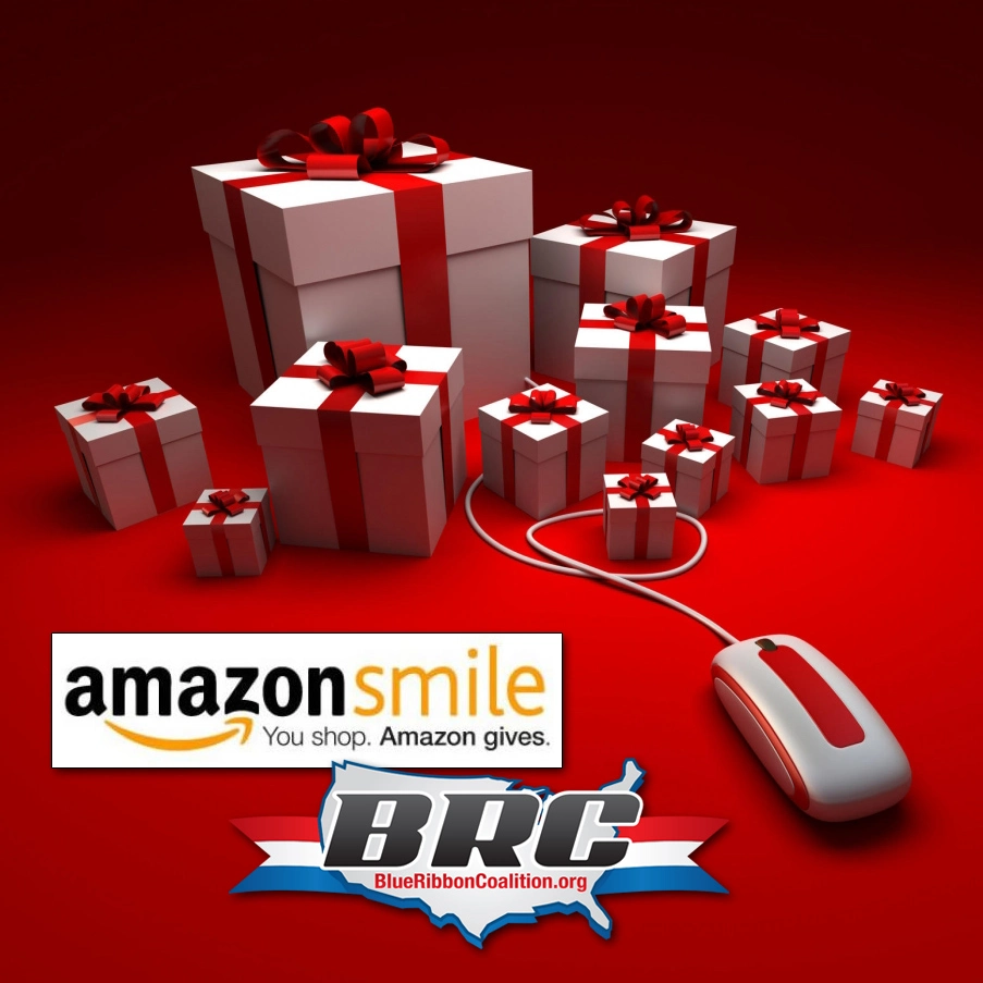 AmazBRC_X-Mas_web.webp