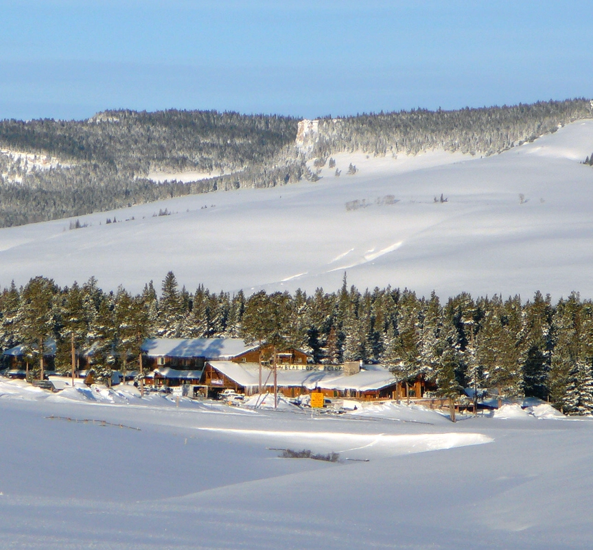 awww.sharetrails.org_sites_default_files_BearLodge_web_0.jpg_3fe15039606ab053020a23ec50abbac1.webp