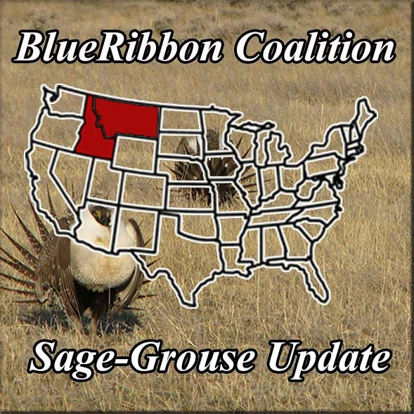 awww.sharetrails.org_sites_default_files_greater_sage_grouse_I25d1de5c0a11c5daec14ebd95cdb2f7c.webp