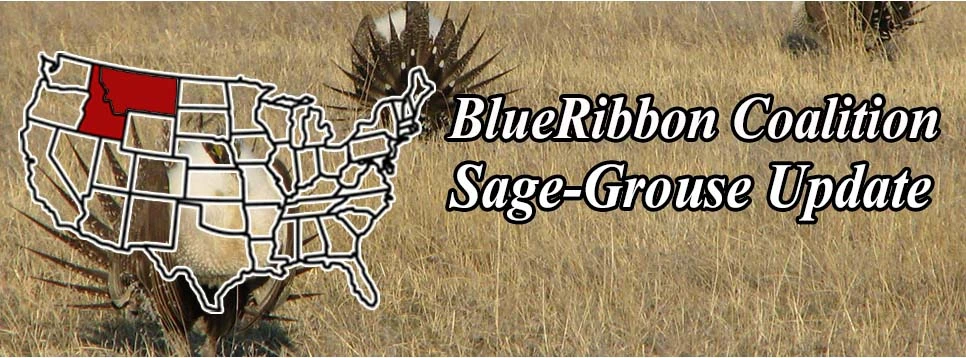 awww.sharetrails.org_sites_default_files_greater_sage_grouse_Ie0fae5ce0d5f7618badc67b51485f2f4.webp