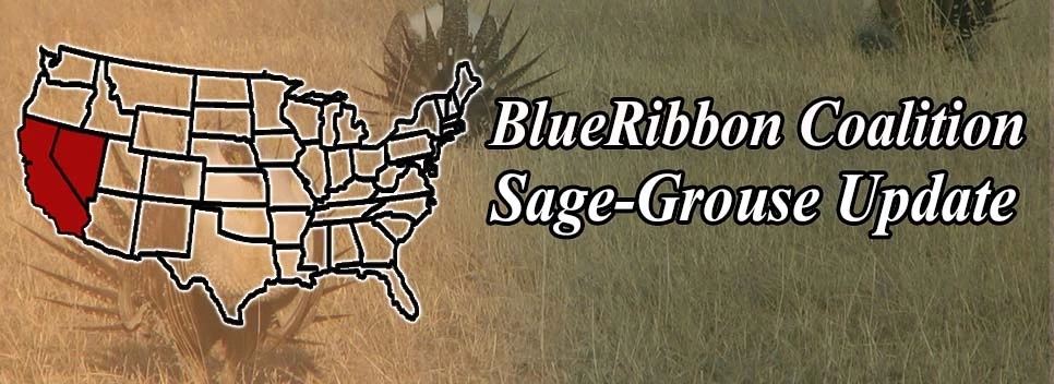 awww.sharetrails.org_sites_default_files_greater_sage_grouse_N3b11ad4f273fee4867effdb07bf67608.webp