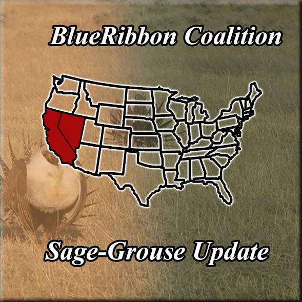 awww.sharetrails.org_sites_default_files_greater_sage_grouse_N94834a51a0871101b14087d45e8c52c5.webp