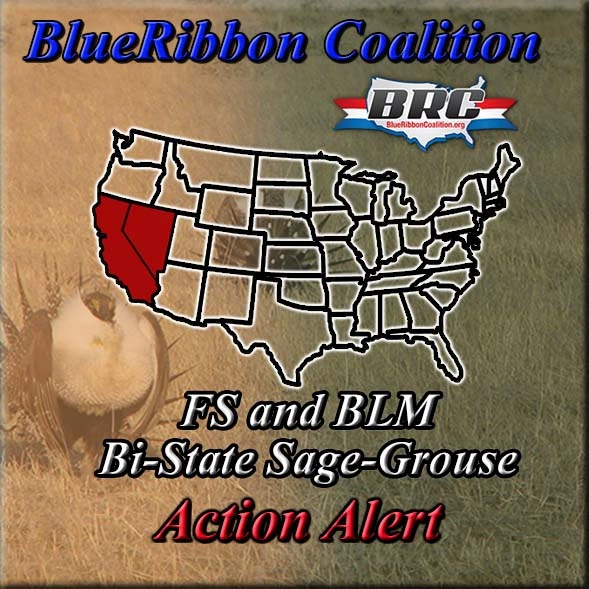 awww.sharetrails.org_sites_default_files_greater_sage_grouse_N9f224da868067d544cb2b3ee9af930f4.webp