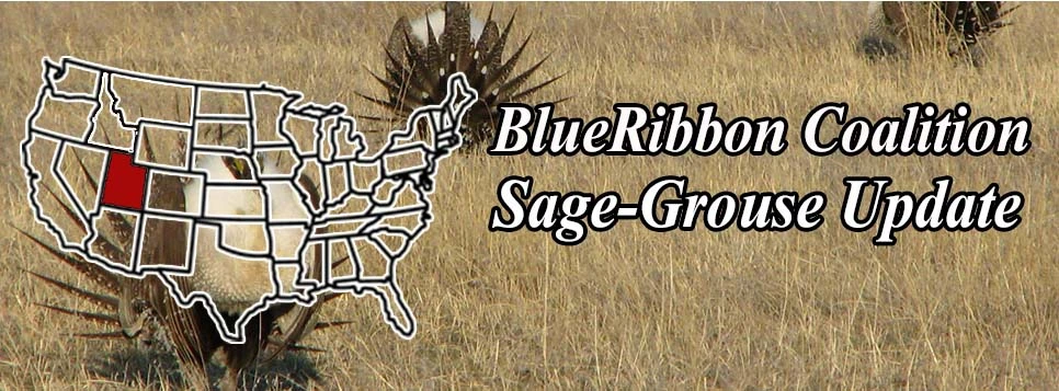 awww.sharetrails.org_sites_default_files_greater_sage_grouse_U2488f3d905a2d1e6a2638c087bfd9aa1.webp