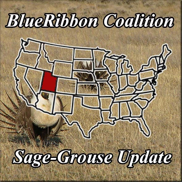 awww.sharetrails.org_sites_default_files_greater_sage_grouse_Ud2997c7fbc7d57ef1632e8dca62bb11e.webp