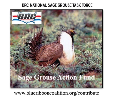 awww.sharetrails.org_sites_default_files_Sage_Grouse_action_fu1589f86f693038e35a60c8620058bcda.webp