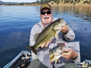 bass_Large_albright_web.webp