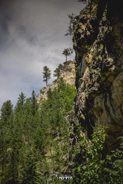 BHCC-4572-427x640.webp