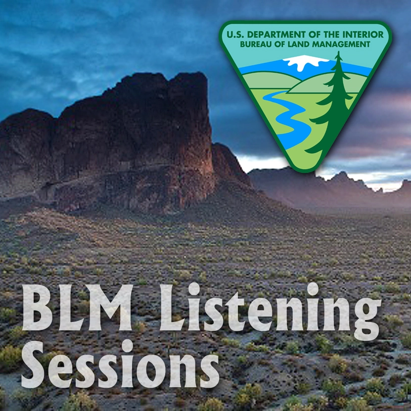 blm-listening_de.webp