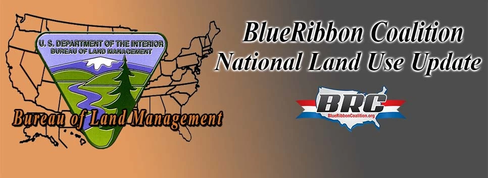 blm-national-alert-carousel.webp