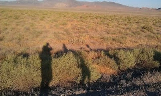 blog_shadows_web.webp