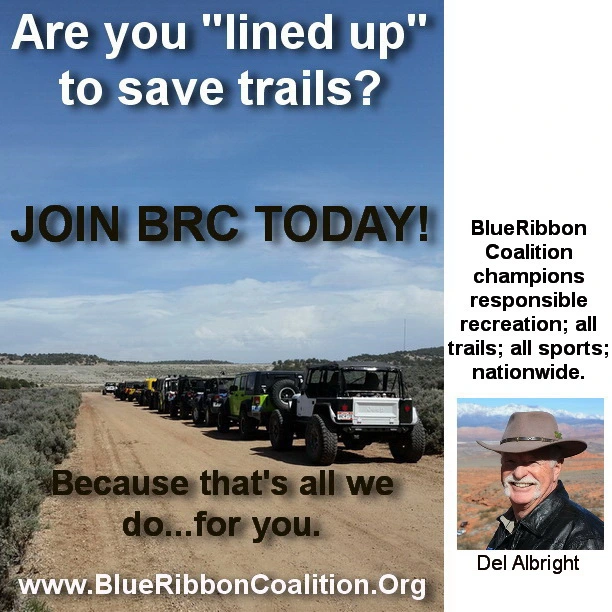 brc_lineup.webp