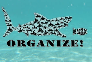 brc_organize_shark_web.webp