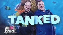 Brett-Raymer-and-Wayde-King-TANKED-title.webp