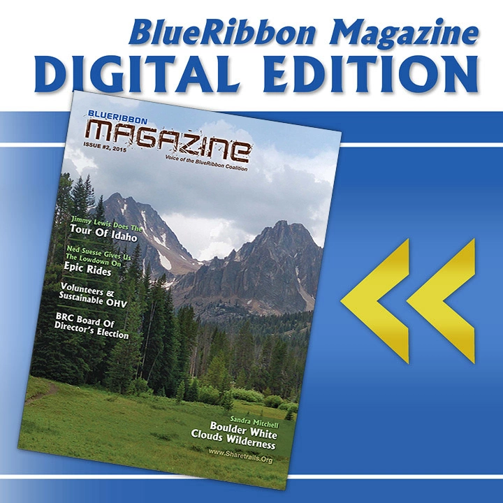 BRM_digital_n02_web.webp