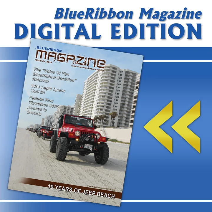 BRM_web.webp