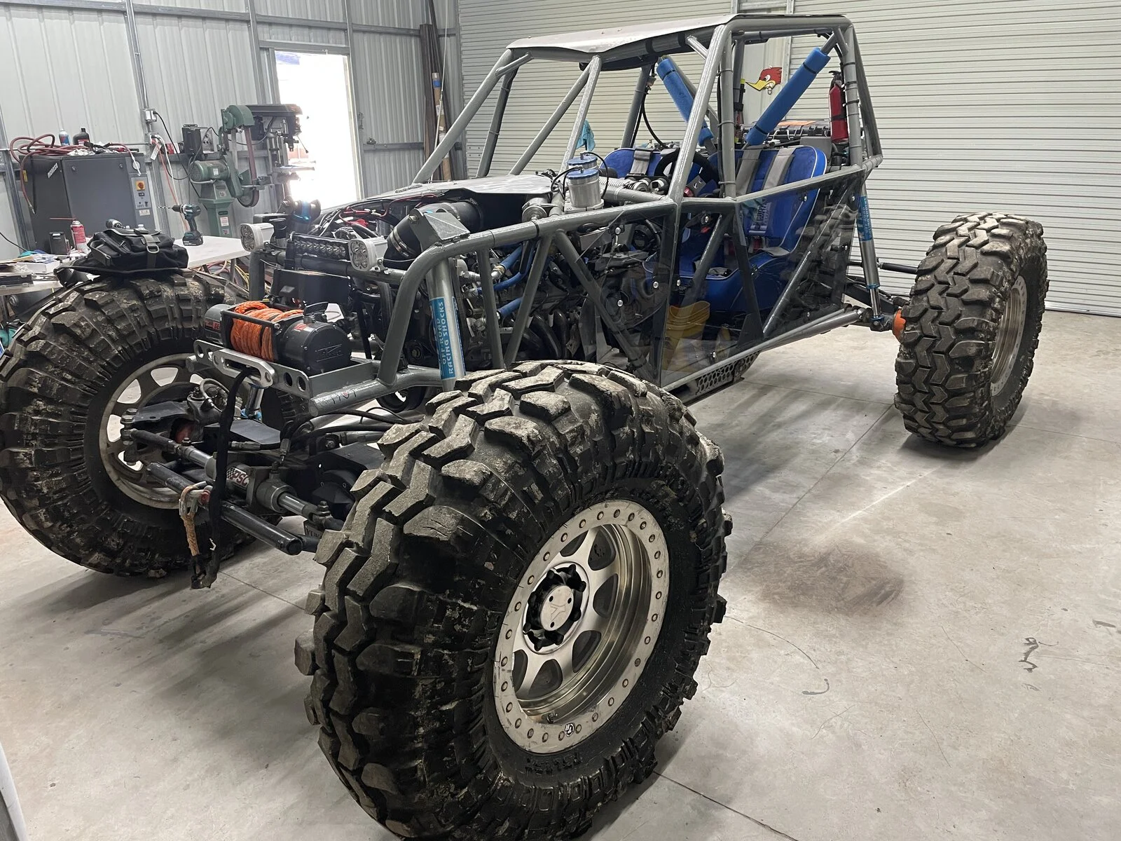 buggy7JPG.JPG