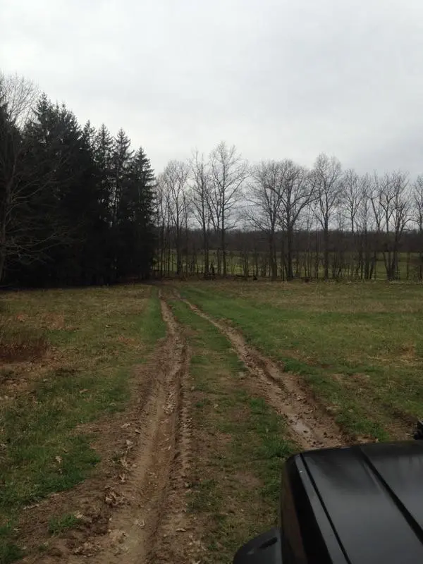 DIRT RIOT CHAOS OFFROAD 4.webp