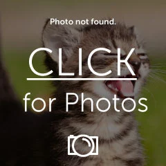 EB3C610A-DC2C-4083-8D06-F05DB39E54B4.webp