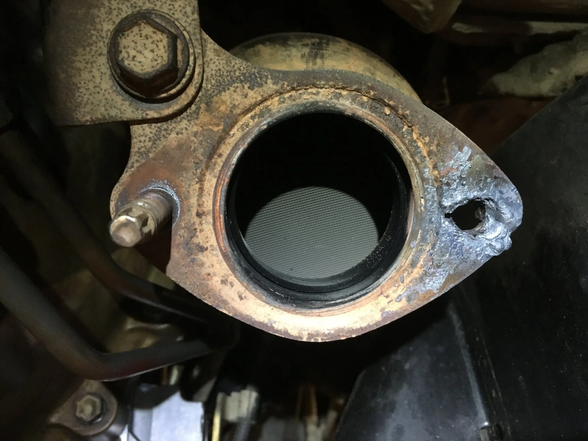 Exhaust (3).webp