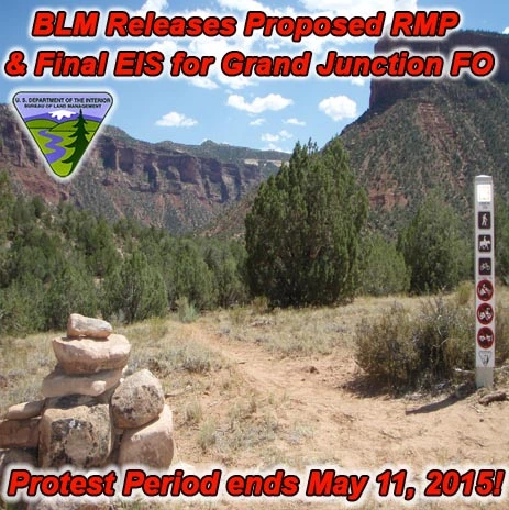 FB-BLM-Grand-Junction-04.15.15.webp