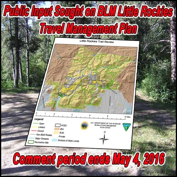 FB-BLM-MT-Little-rocies-TMP-04.25.16.webp