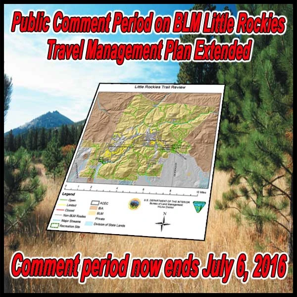 FB-BLM-MT-Little-rocies-TMP-extended-05.13.16_0.webp