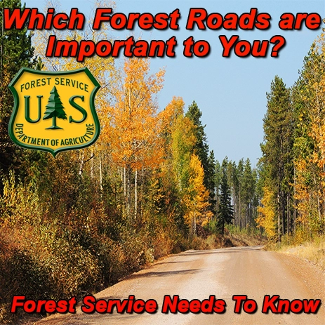 FB-Flathead-NF-MT-07.24.14.webp