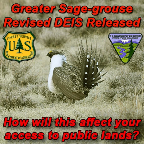 FB-fs-blm-NV-CA-Bi-state-sage-grouse.webp