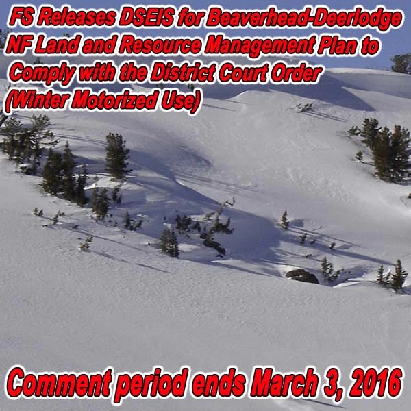 FB-MT-B-DNF-DSEIS-alert-01.06.16.webp