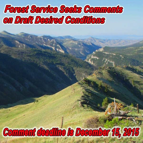 FB-MT-Helena-nf-alert-12.08.15.webp
