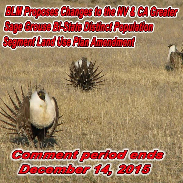 FB-NV-blm-carson-city-alert-SG-11.18.15.webp
