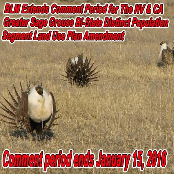 FB-NV-blm-carson-city-alert-SG-12.18.15.webp